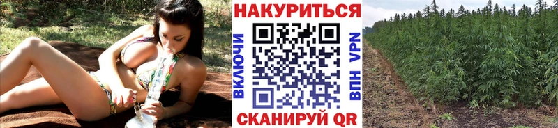 Купить закладку АМФ  КОКАИН  Меф мяу мяу  Псилоцибиновые грибы  A-PVP  Канабис  Коломна