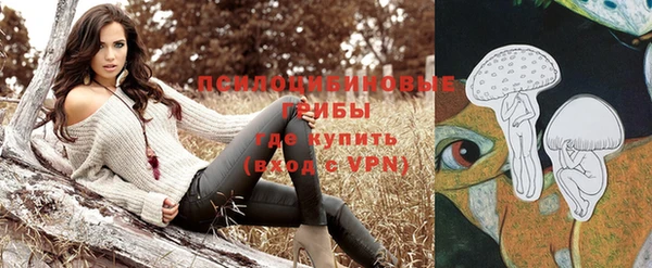 наркотики Каменногорск