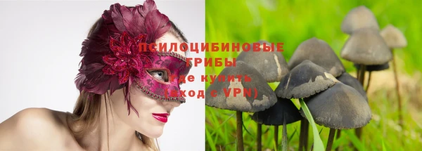 наркотики Каменногорск