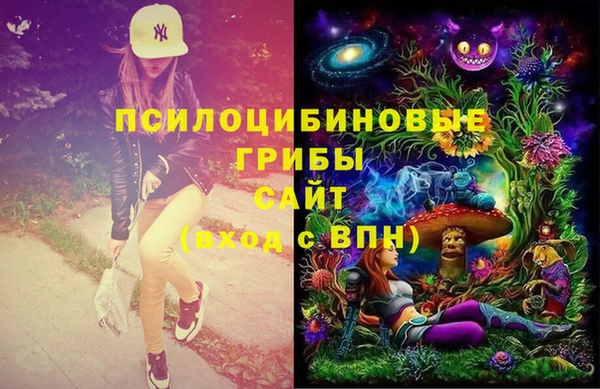 прущая мука Инта