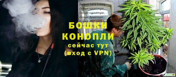 трава Иннополис